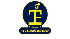 logo taesmet