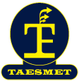 logo taesmet footer